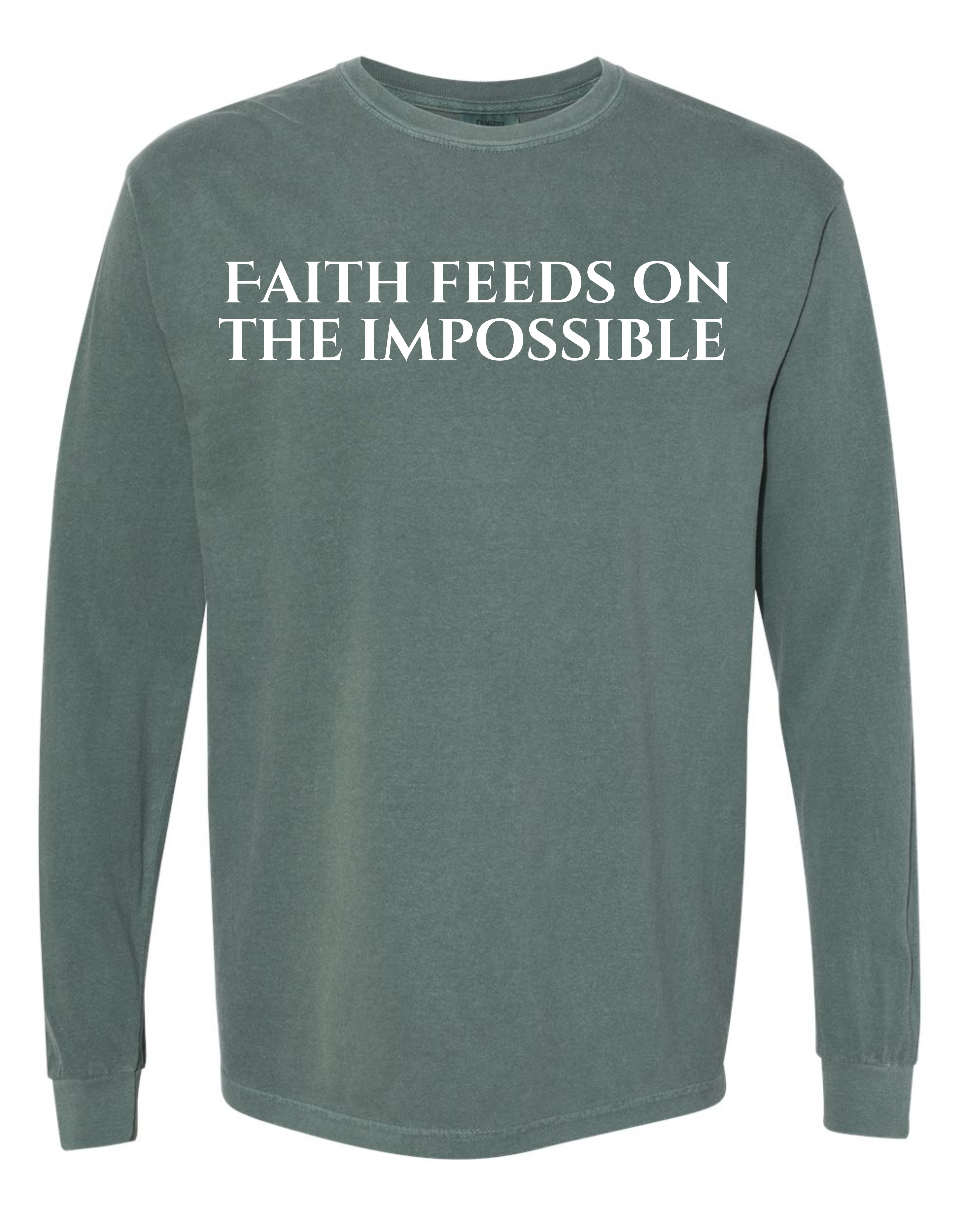 Faith Feeds on The Impossible