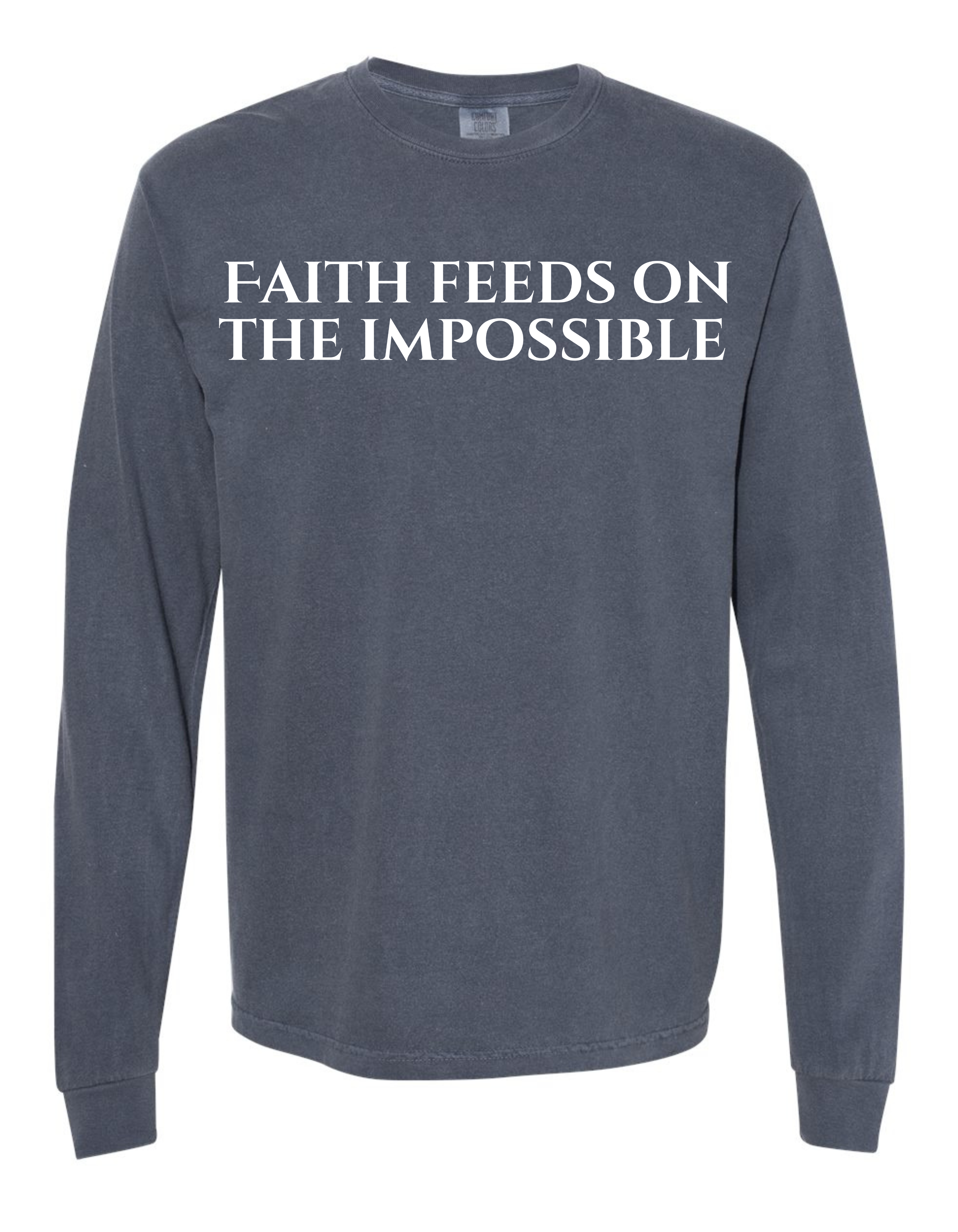 Faith Feeds on The Impossible